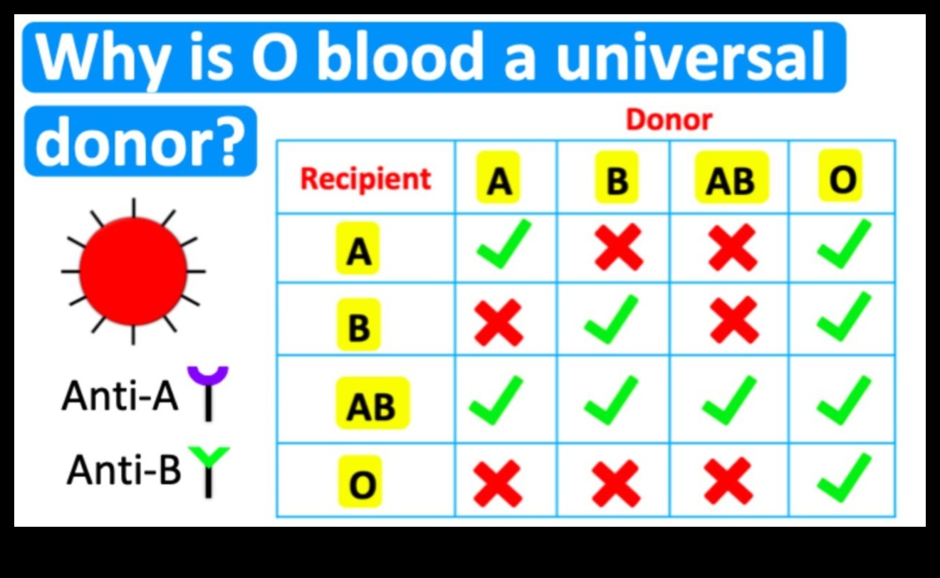 what is the universal blood type